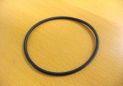 Saniplus : O-ring for pump cover plate